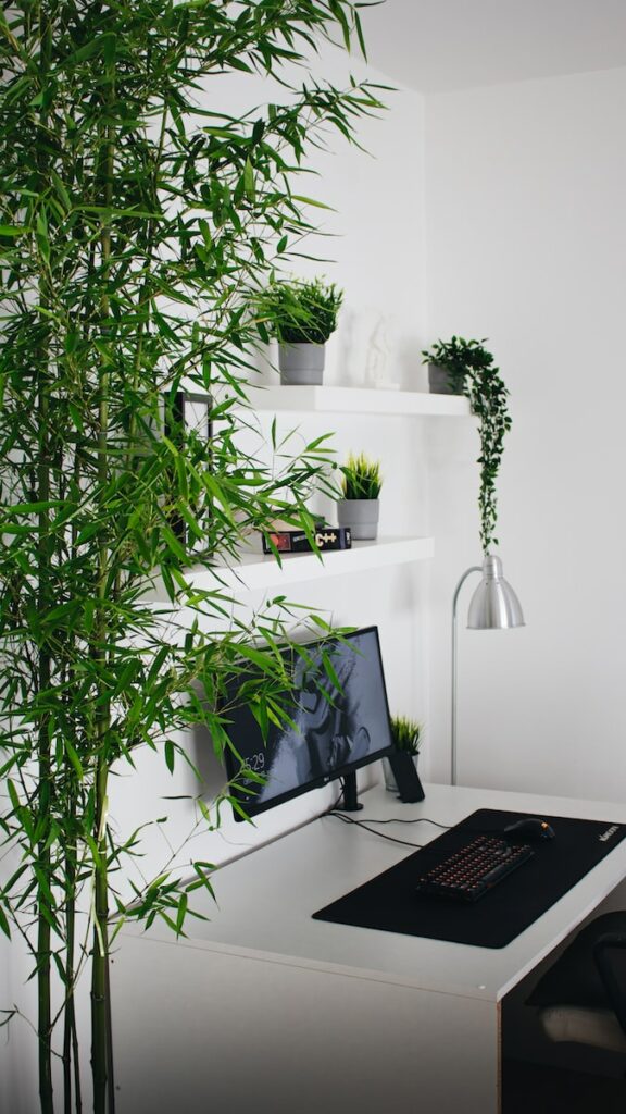 green plant near black laptop computer encourages outdoor time